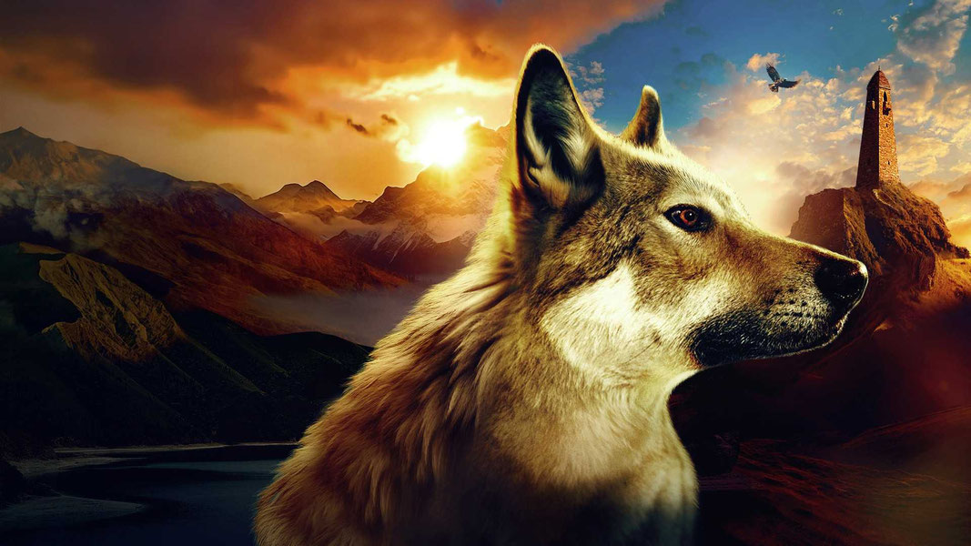 Абрек. Фильм о фильме