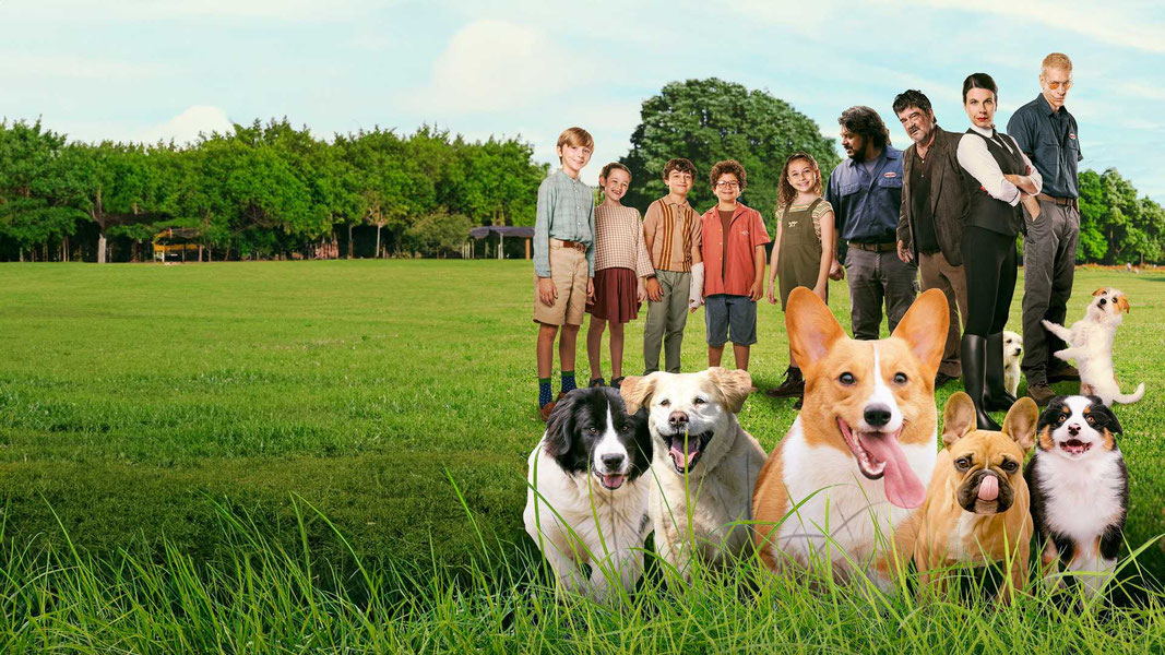 Академия четвероногих