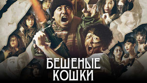 Бешеные кошки