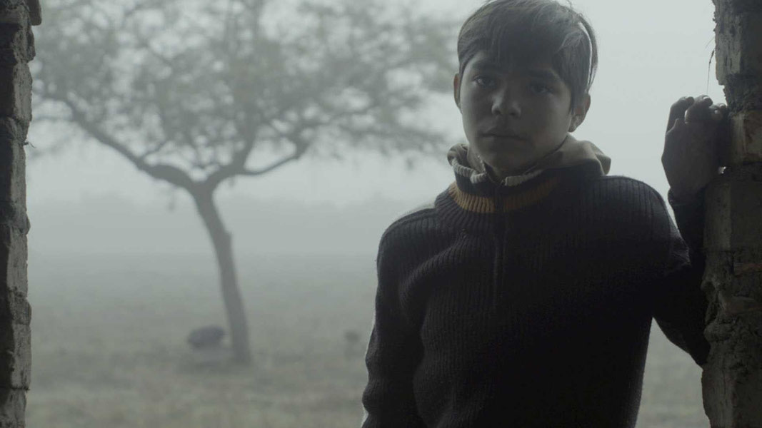 Без особых примет