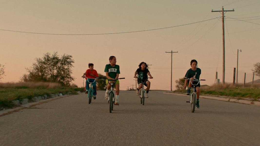 Боевой пони