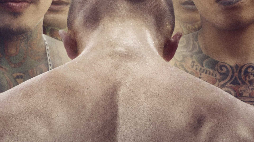 Бои без правил