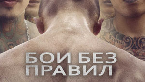 Бои без правил