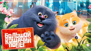 Большой кошачий побег