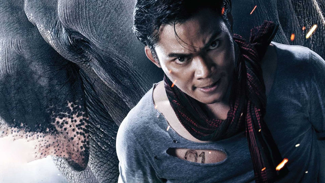 Честь дракона 2