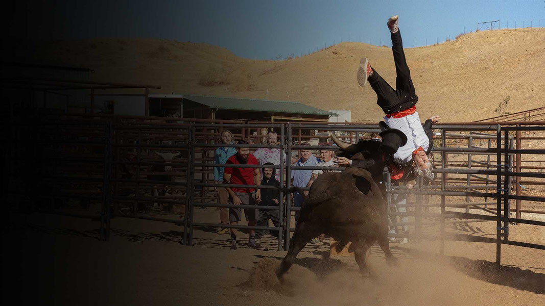 Чудаки навсегда