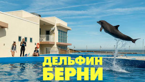 Дельфин Берни