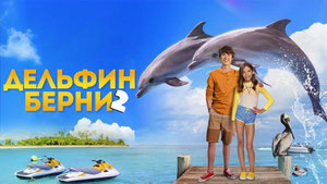 Дельфин Берни 2