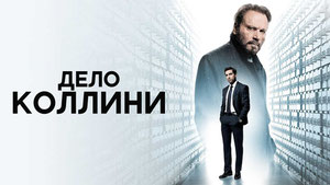 Дело Коллини