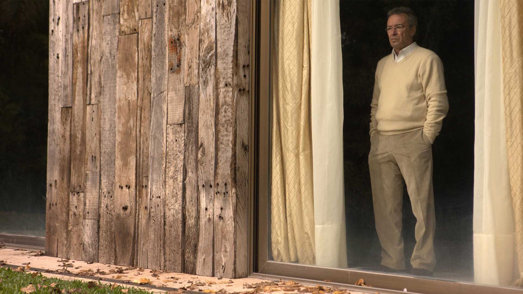 Дикие истории