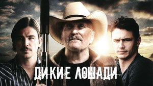 Дикие лошади