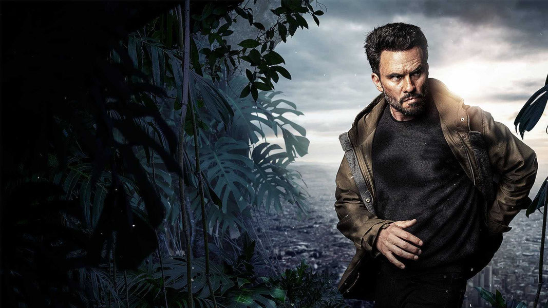 Дикий округ