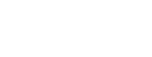 Дневник воспоминаний