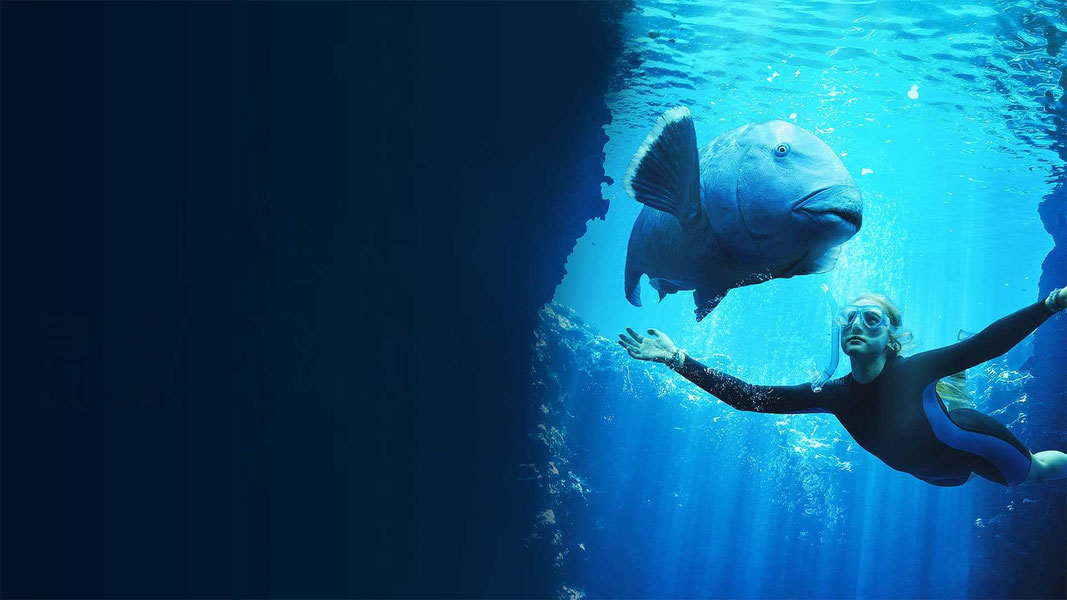 Друг в океане