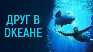 Друг в океане