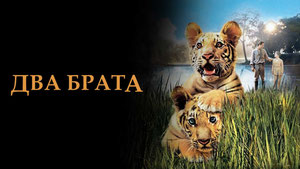 Два брата