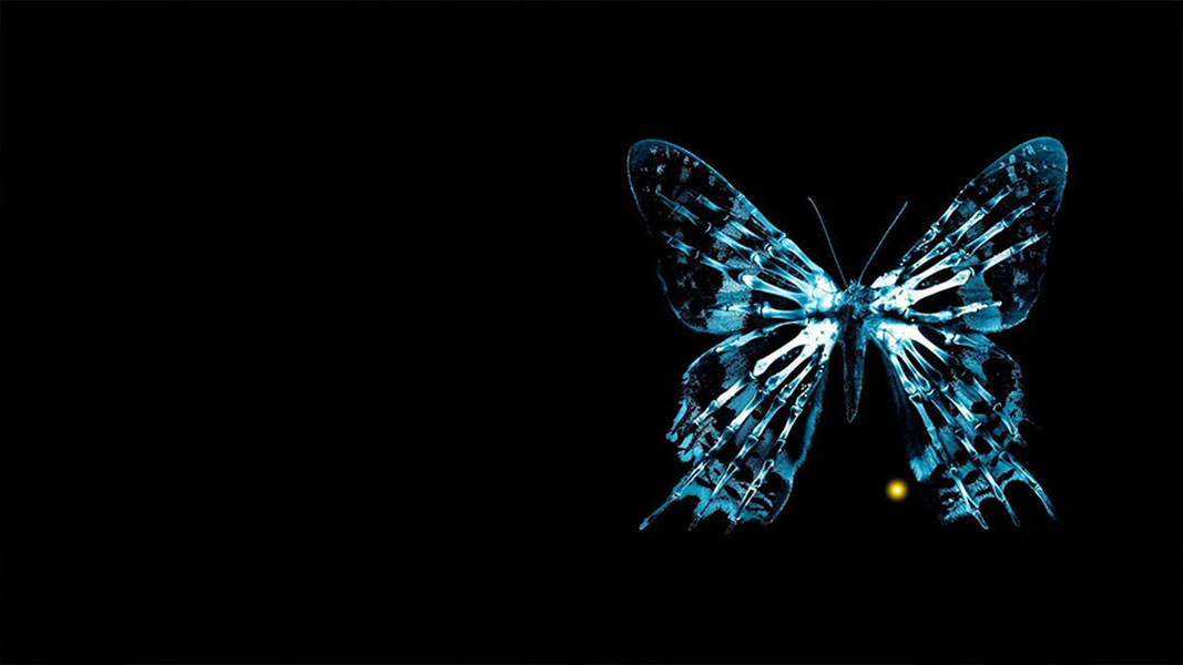 Эффект бабочки 3