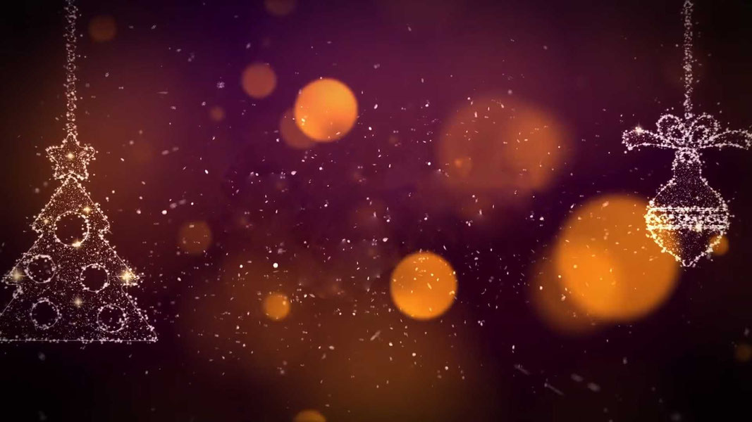 Fayzli yangi yil shousi