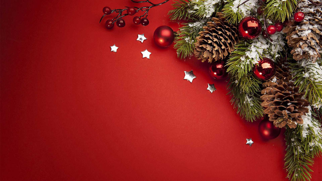 Fayzli yangi yil shousi