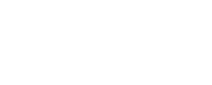 Фальсификатор