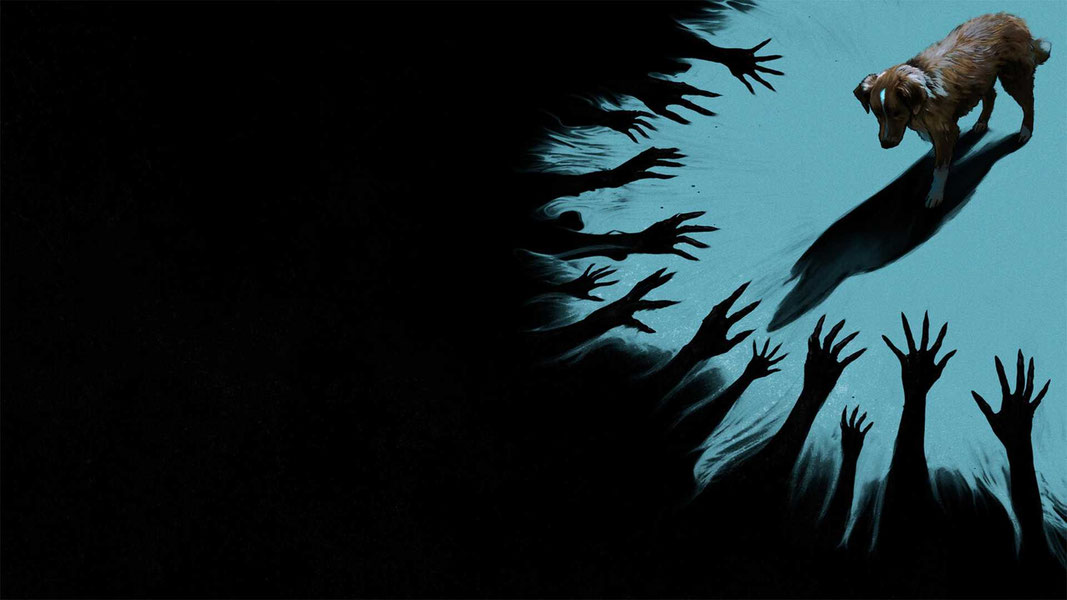 Глазами пса