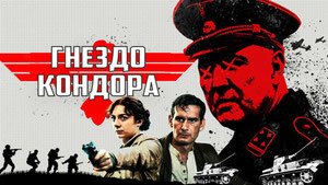 Гнездо кондора