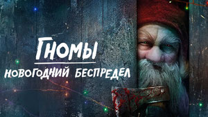 Гномы. Новогодний беспредел
