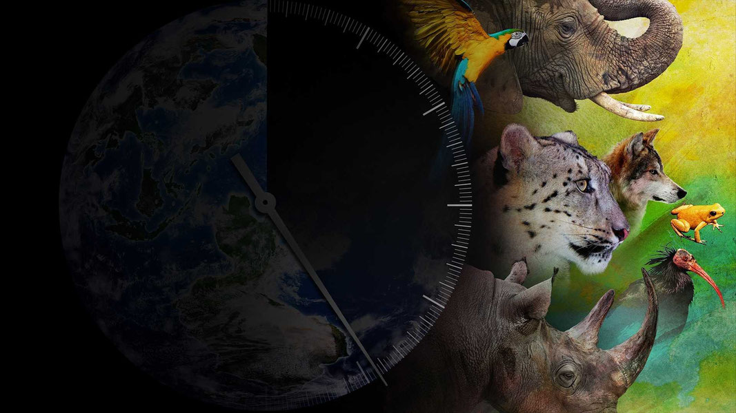 Гонка на вымирание