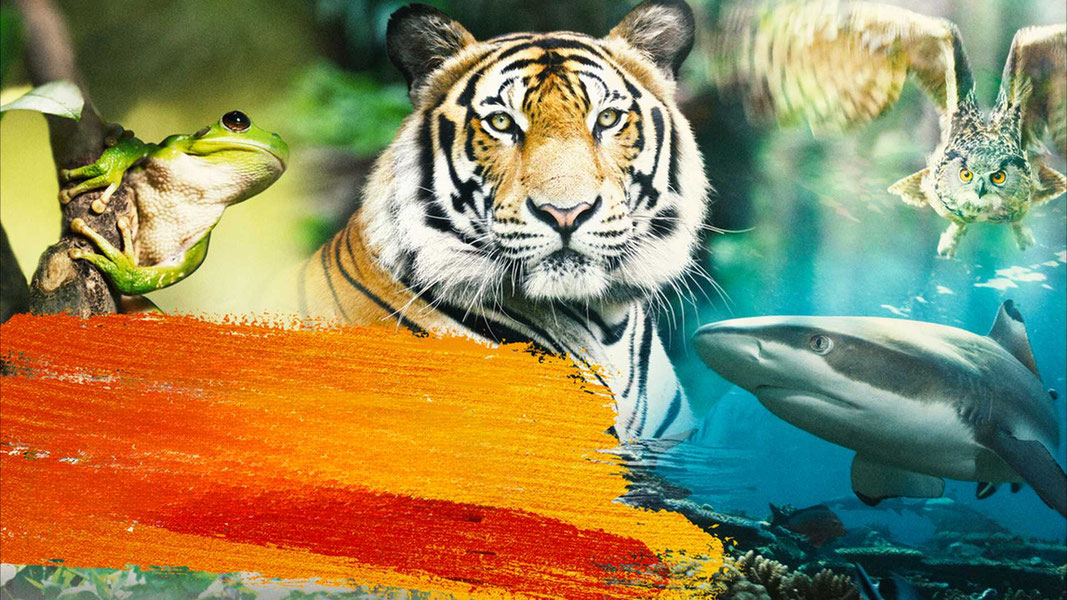 Гонка жизни