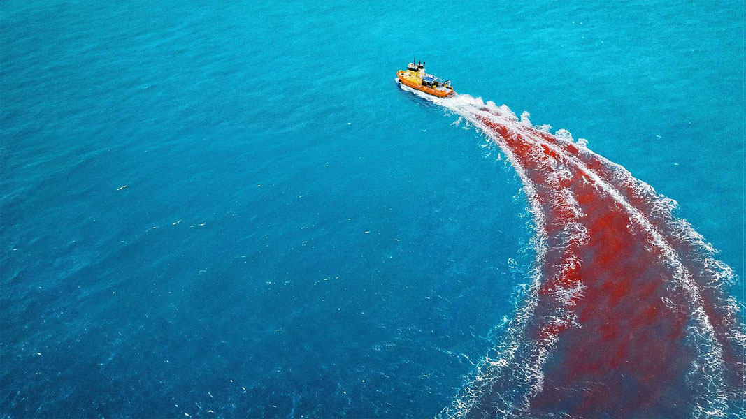 Хищные твари