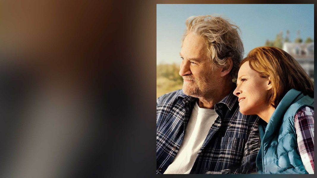 Хороший дом