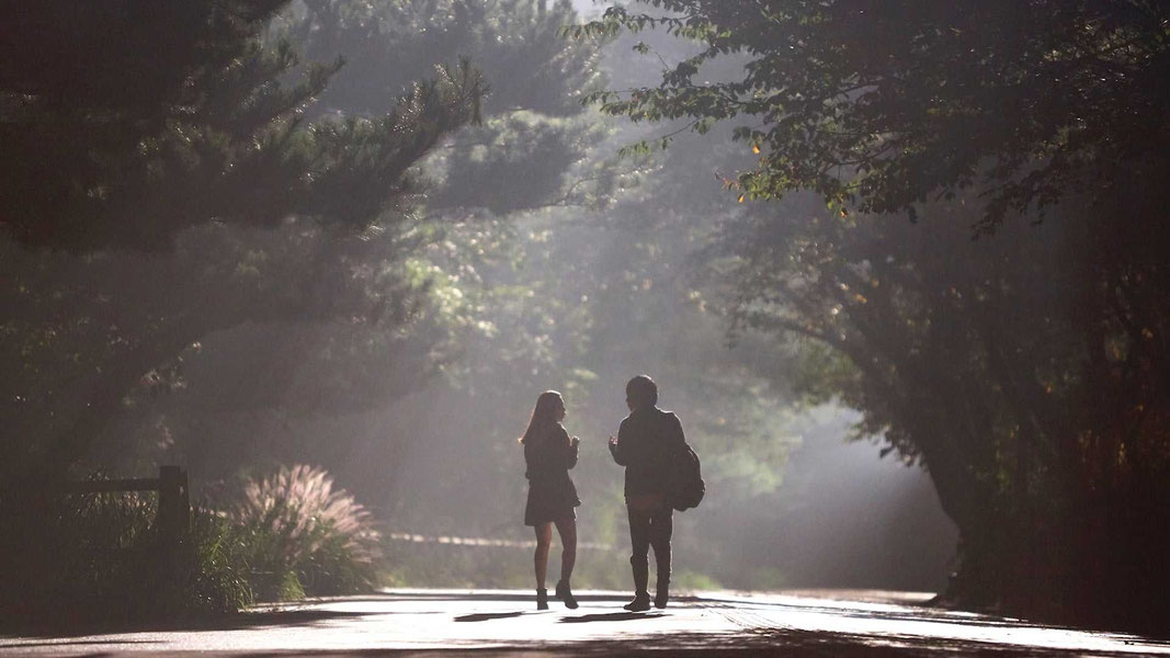 Худшая из женщин