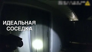 Идеальная соседка