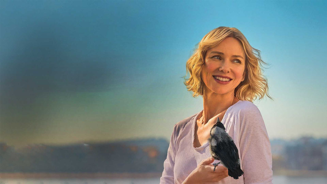 История семьи Блум