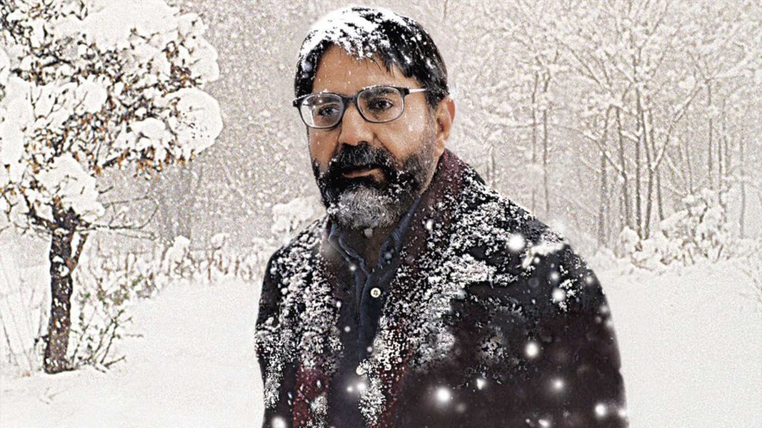 Ивовое дерево