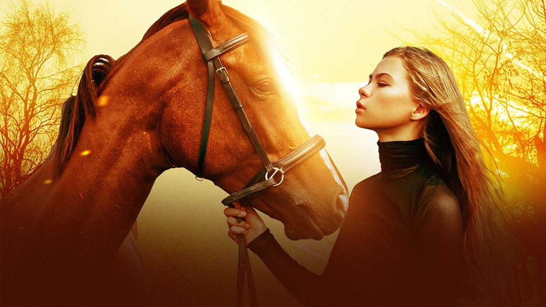 Каникулы в конном лагере