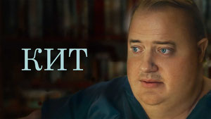 Кит