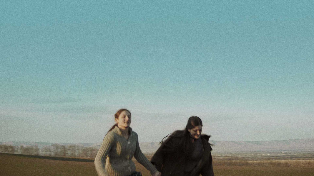 Клетка ищет птицу