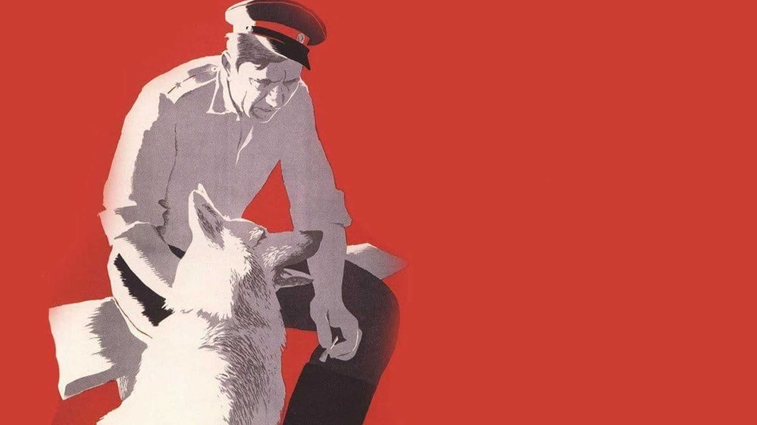 Ко мне, Мухтар!