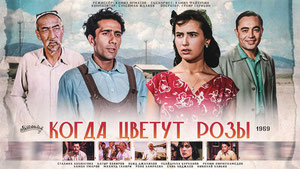 Когда цветут розы