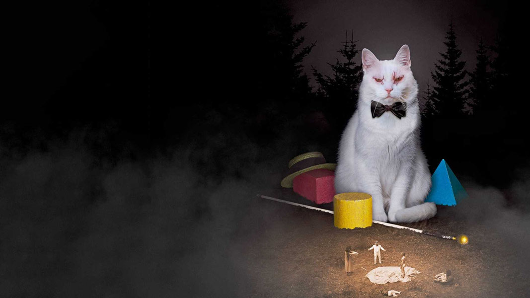 Коко-ди Коко-да