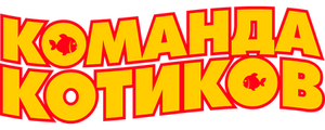 Команда котиков