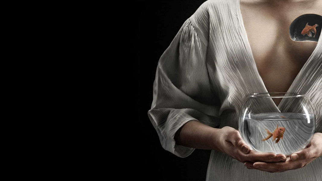 Корпорация Ad Libitum