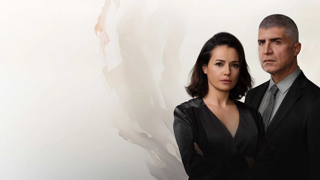 Красные бутоны