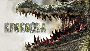 Крокодил
