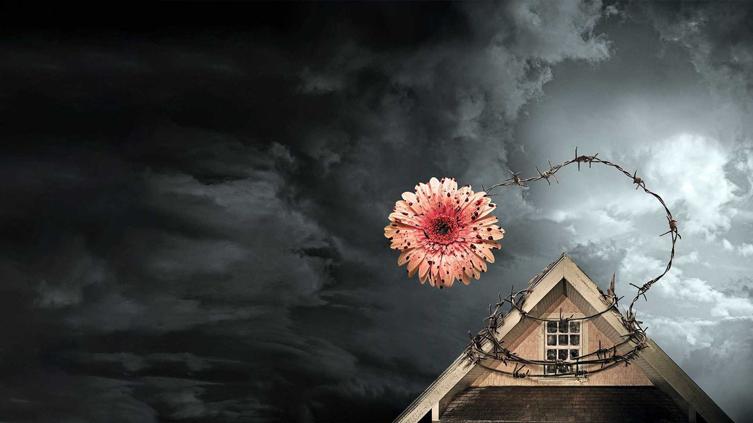 Лепестки на ветру