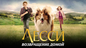 Лесси. Возвращение домой