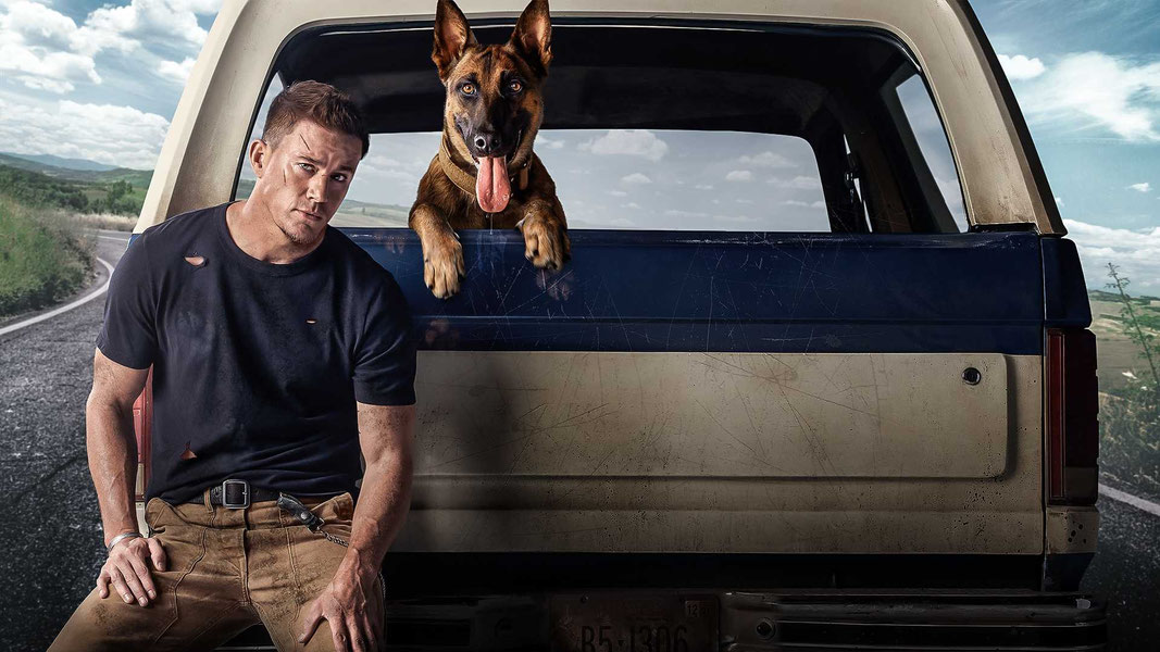 Лулу и Бриггс