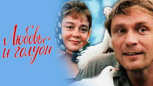 Любовь и голуби