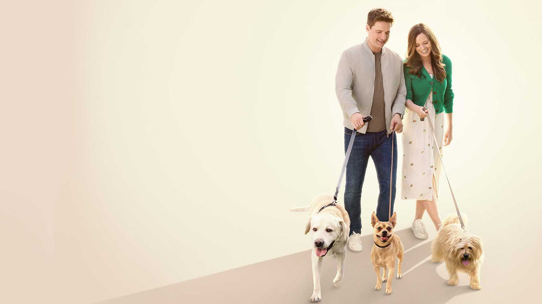 Любовь как цветок